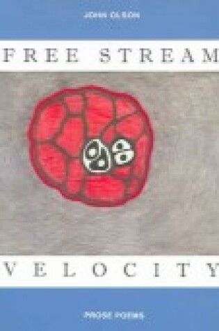 Cover of Free Stream Velocity