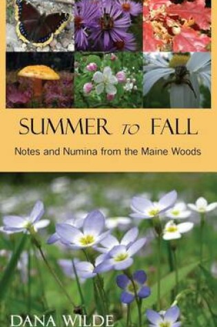 Cover of Summer to Fall