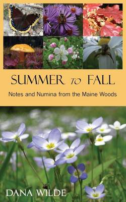 Book cover for Summer to Fall