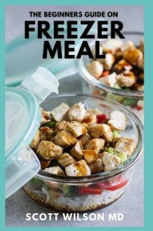 Cover of The Beginners Guide on Freezer Meal