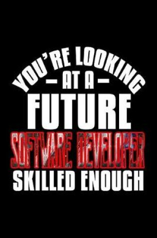 Cover of You're looking at a software developer skilled enough