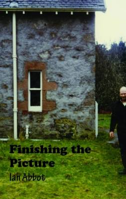 Book cover for Finishing the Picture