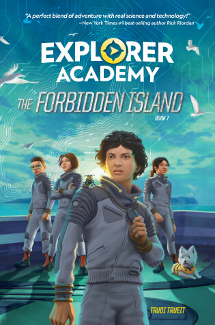 Cover of The Forbidden Island (Book 7)