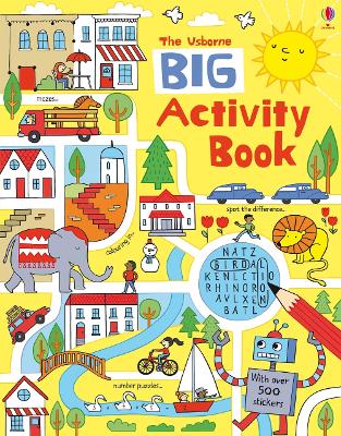 Book cover for Big Activity Book