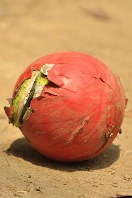 Book cover for Well-Played Cricket Ball Sports Journal