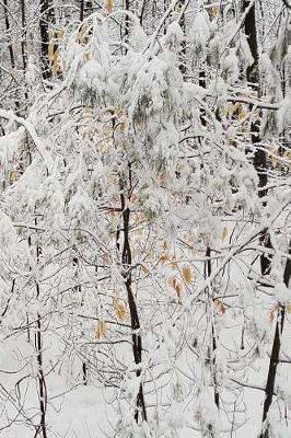 Book cover for Winter Journal Snowstorm Small Trees