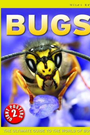 Cover of Bugs Poster Book
