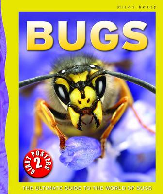 Book cover for Bugs Poster Book