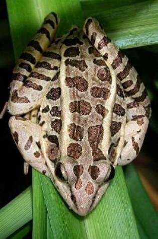 Cover of Northern Leopard Frog Resting on a Leaf Journal