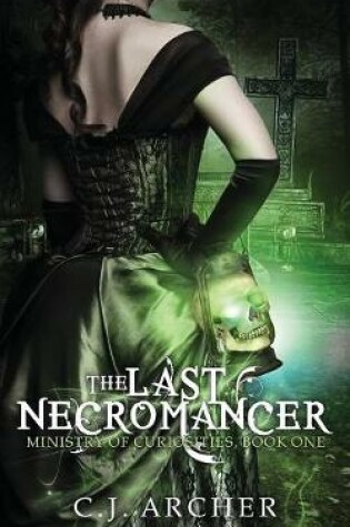 Cover of The Last Necromancer