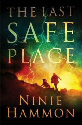 Cover of Last Safe Place