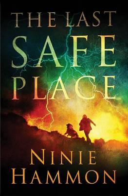 Book cover for Last Safe Place