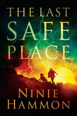 Book cover for The Last Safe Place