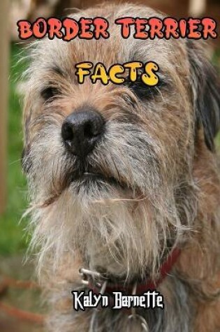 Cover of Border Terrier Facts
