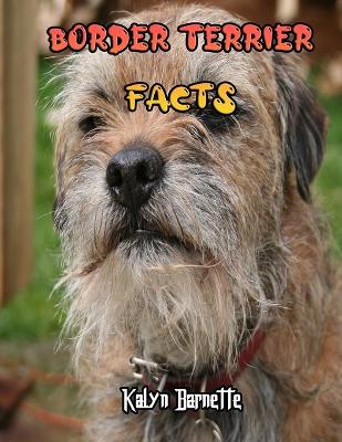 Book cover for Border Terrier Facts