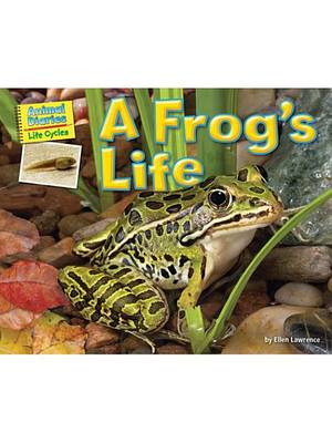 Book cover for A Frog's Life