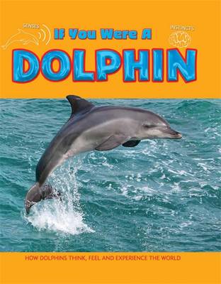 Book cover for Dolphin