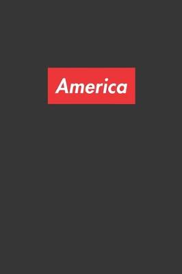 Book cover for America Notebook