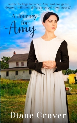 Book cover for A Journey for Amy