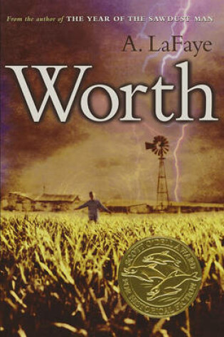 Cover of Worth