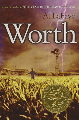 Book cover for Worth