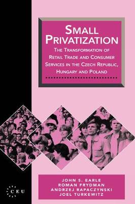 Book cover for Small Privatization