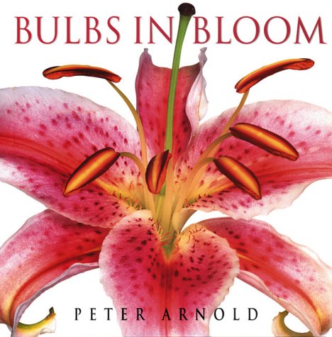 Book cover for Bulbs in Bloom