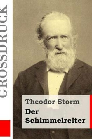 Cover of Der Schimmelreiter (Grossdruck)