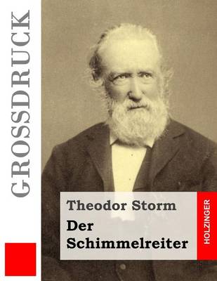 Book cover for Der Schimmelreiter (Grossdruck)