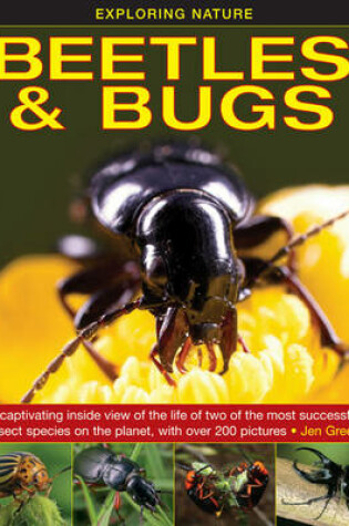Cover of Exploring Nature: Beetles & Bugs