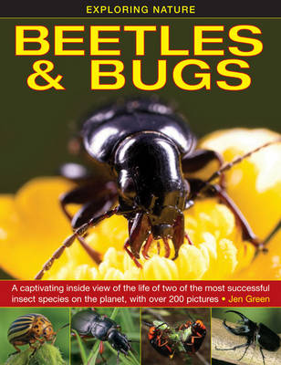 Book cover for Exploring Nature: Beetles & Bugs