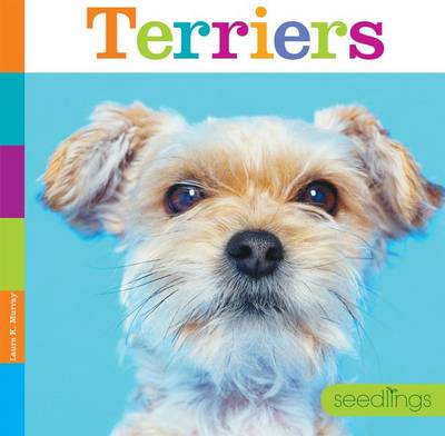 Book cover for Terriers
