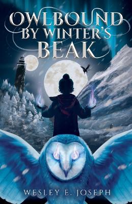 Cover of Owlbound by Winter's Beak