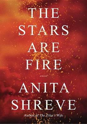 Book cover for The Stars Are Fire