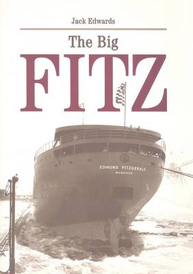 Book cover for The Big Fitz