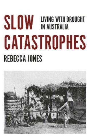 Cover of Slow Catastrophes