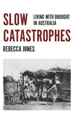 Cover of Slow Catastrophes