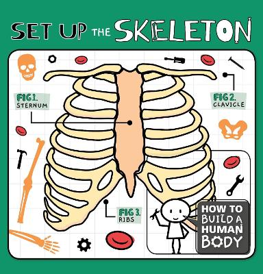 Book cover for Set Up the Skeleton