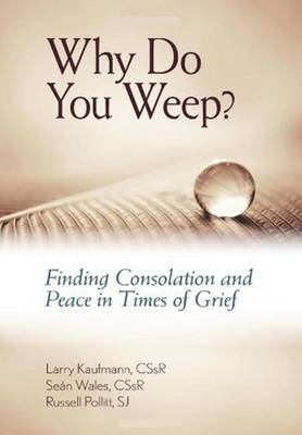 Book cover for Why Do You Weep?