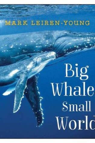 Cover of Big Whales, Small World
