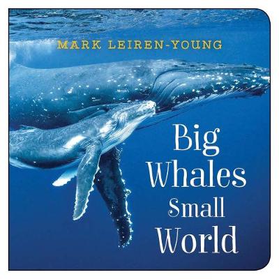 Book cover for Big Whales, Small World