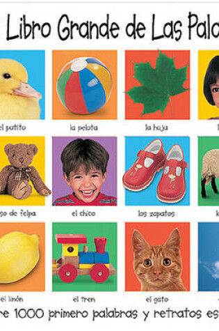 Cover of Mi Libro Grande de Las Palabras