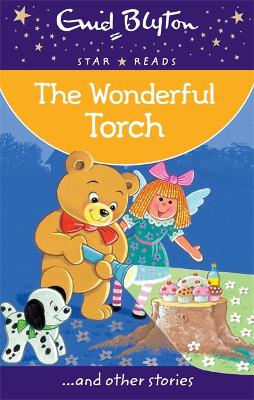 Book cover for The Wonderful Torch
