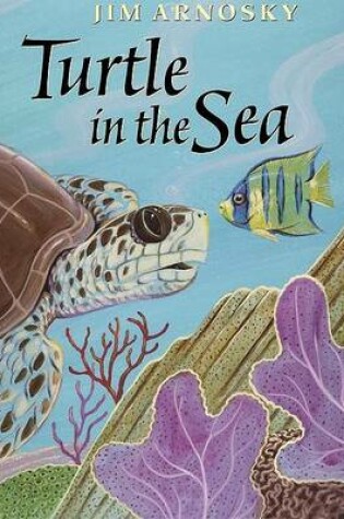 Cover of Turtle in the Sea