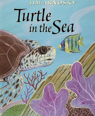 Book cover for Turtle in the Sea