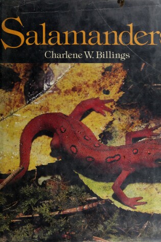 Cover of Salamanders