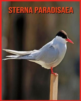 Book cover for Sterna Paradisaea