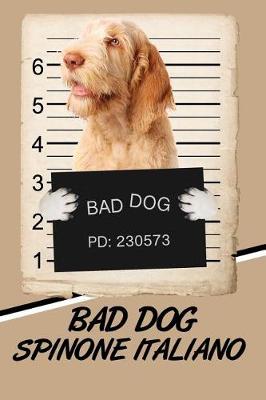 Book cover for Bad Dog Spinone Italiano