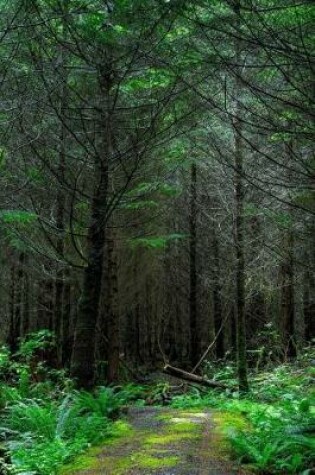 Cover of End of the Road in a Washington State Forest