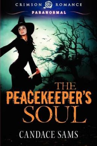 Cover of The Peacekeeper's Soul